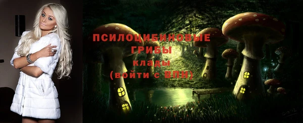 кристаллы Корсаков
