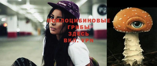 гашиш Коряжма