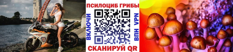 Галлюциногенные грибы Cubensis  Мелеуз 